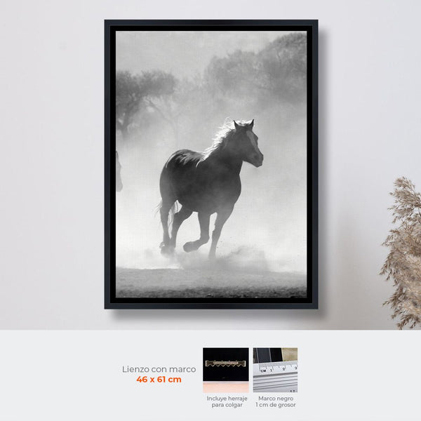 Lienzo en Bastidor con Marco 46x61cm