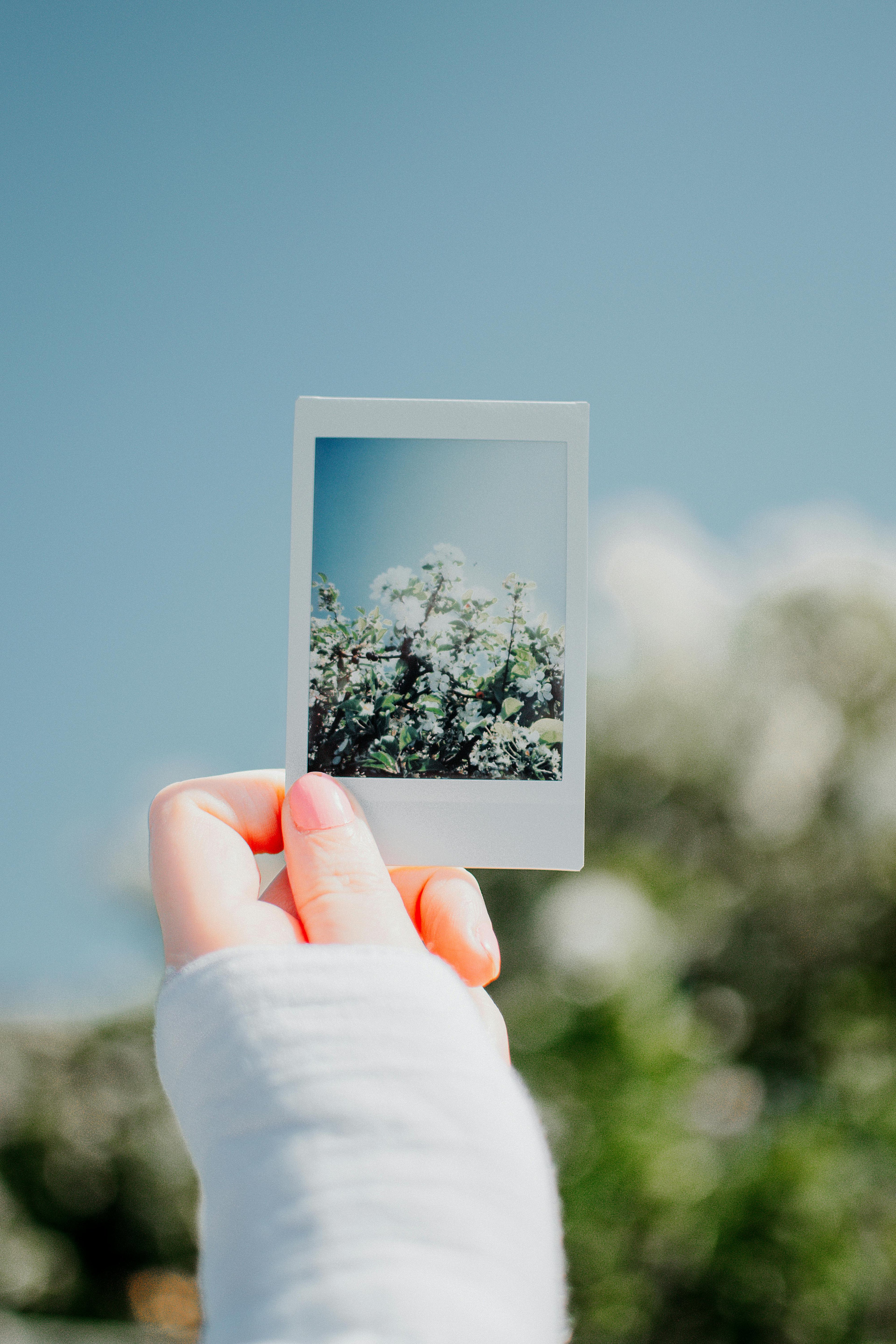 Película INSTAXmini (1pza)